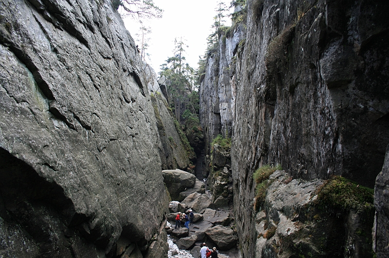 Original image